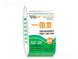 ���ߌ��÷�-һ����-�Έ@