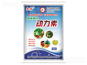 ֲ���(d��ng)����-�ΰ�