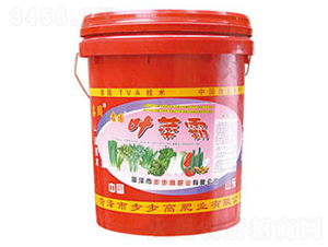 �_ʩ��-�~�˰�-�Έ@