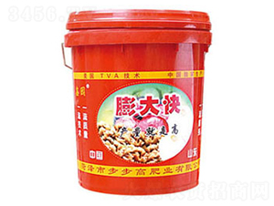 ����_ʩ��-�Έ@