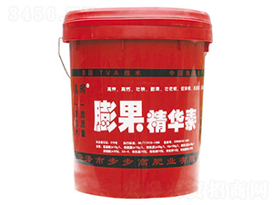 ������A��-�Έ@