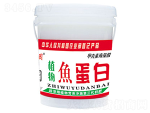 ֲ���~����-�Έ@