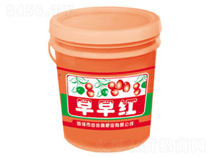 �_ʩ��-����t-�Έ@