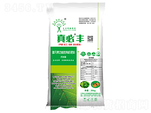 ����S����25-��������