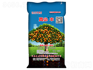 ����S��Ԫ��ˮ���Թ��ܹ��䌣�÷�-��������