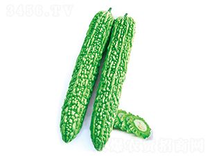 ����-��ϷN��-����