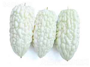 ����-��ϷN��-����