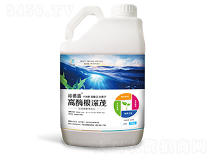 ��ø����ï-ԣ��ʢ-���Y�m��