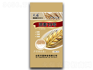 ����19-С���N��-��@�N�I(y��)