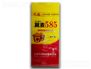 ����585-С���N��-��@�N�I(y��)