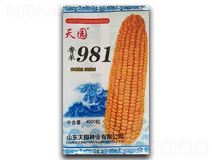 ����981-���׷N��-��@�N�I(y��)