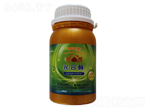 ��������ˮ�ܷ���-���ø-���S�r(n��ng)