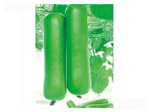 ��ư��̖(h��o)-�ѹϷN��-����