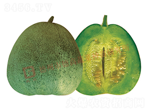 �¸�Q16-��ϷN��-�¸�