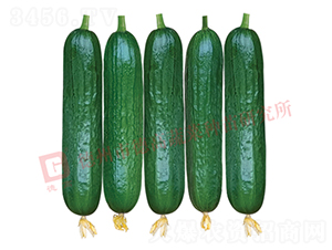 �¸ߚW����-�S�ϷN��-�¸�