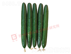 �¸�1867-�S�ϷN��-�¸�