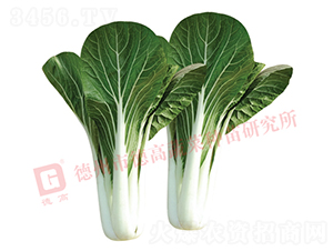 �¸�1420-�׹��˷N��-�¸�