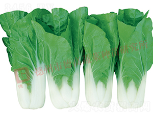 ���Z��2̖(h��o)-�׹��˷N��-�¸�