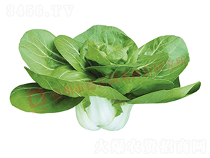 ���Z��1508-�׹��˷N��-�¸�