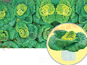 ���1̖(h��o)-�׹��˷N��-�¸�