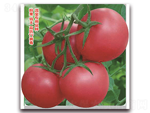 �ې�-���ѷN��-���S�N�I(y��)