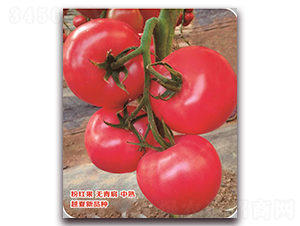 ����-���ѷN��-���S�N�I(y��)