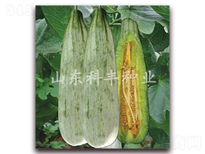 ������-��ϷN��-���S�N�I(y��)