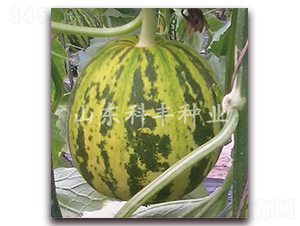 ɽ�ƻ���-��ϷN��-���S�N�I(y��)