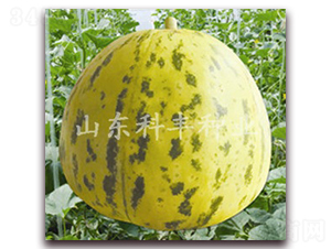 ���X��-��ϷN��-���S�N�I(y��)