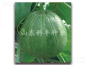 �GС��-��ϷN��-���S�N�I(y��)