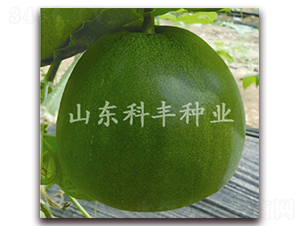 ������-��ϷN��-���S�N�I(y��)