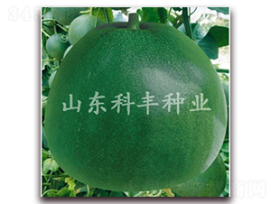 ����䌚-��ϷN��-���S�N�I(y��)