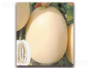 ɽ������̖-��ϷN��-���S�N�I(y��)