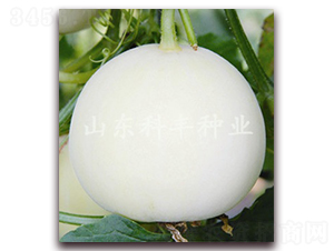 ������ѩ-��ϷN��-���S�N�I(y��)