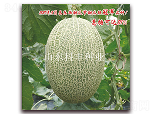 ɽ�ƃ�(y��u)��-��ϷN��-���S�N�I(y��)