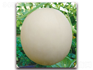 ɽ����1813-��ϷN��-���S�N�I(y��)