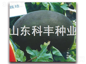 ������-���ϷN��-���S�N�I(y��)