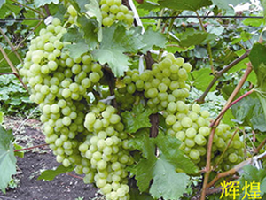 �������o�˰��u������-���ѷN��