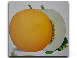 ʥ���̖-��ϷN��