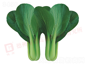 �A��Ɲ428-�๣�˷N��-�¸�