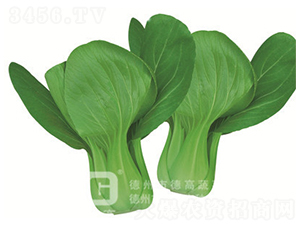 �¸ߴ���1̖-�๣�˷N��-�¸�