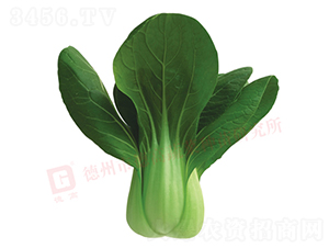 �¸�579-�๣�˷N��-�¸�