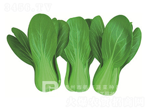 ����7̖-�๣�˷N��-�¸�