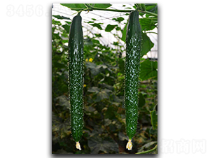 �ۃ�(y��u)9̖-�S�ϷN��