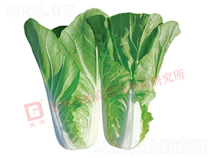 �¸�2293-��˷N��-�¸�