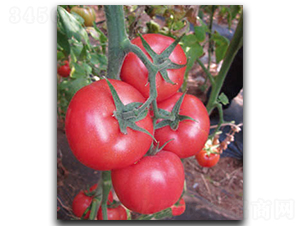 ������-���ѷN��