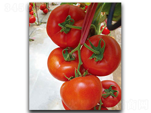 ����-���ѷN��