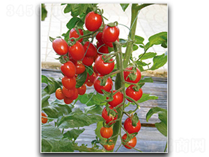 �����~159-���ѷN��