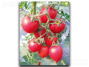 �t��T-105-���ѷN��