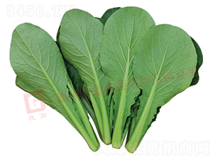 �¸�2588-��˷N��-�¸�